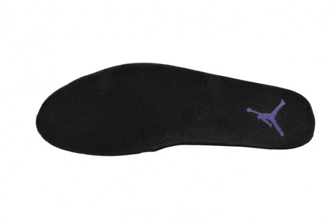 Rep Retro 12 Jordan Air Field Purple CT8013-057 0718
